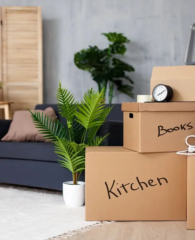 Kitchen and Book boxes